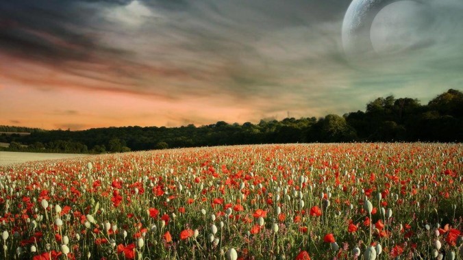 《诛仙》作者萧鼎于近日修改《诛仙》原作并大量删去碧瑶戏份，如何看待这一行为？